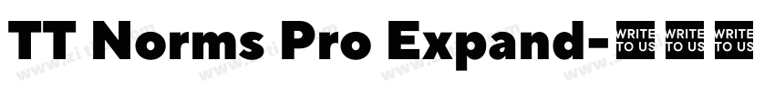 TT Norms Pro Expand字体转换 TT Norms Pro Expand字体转换